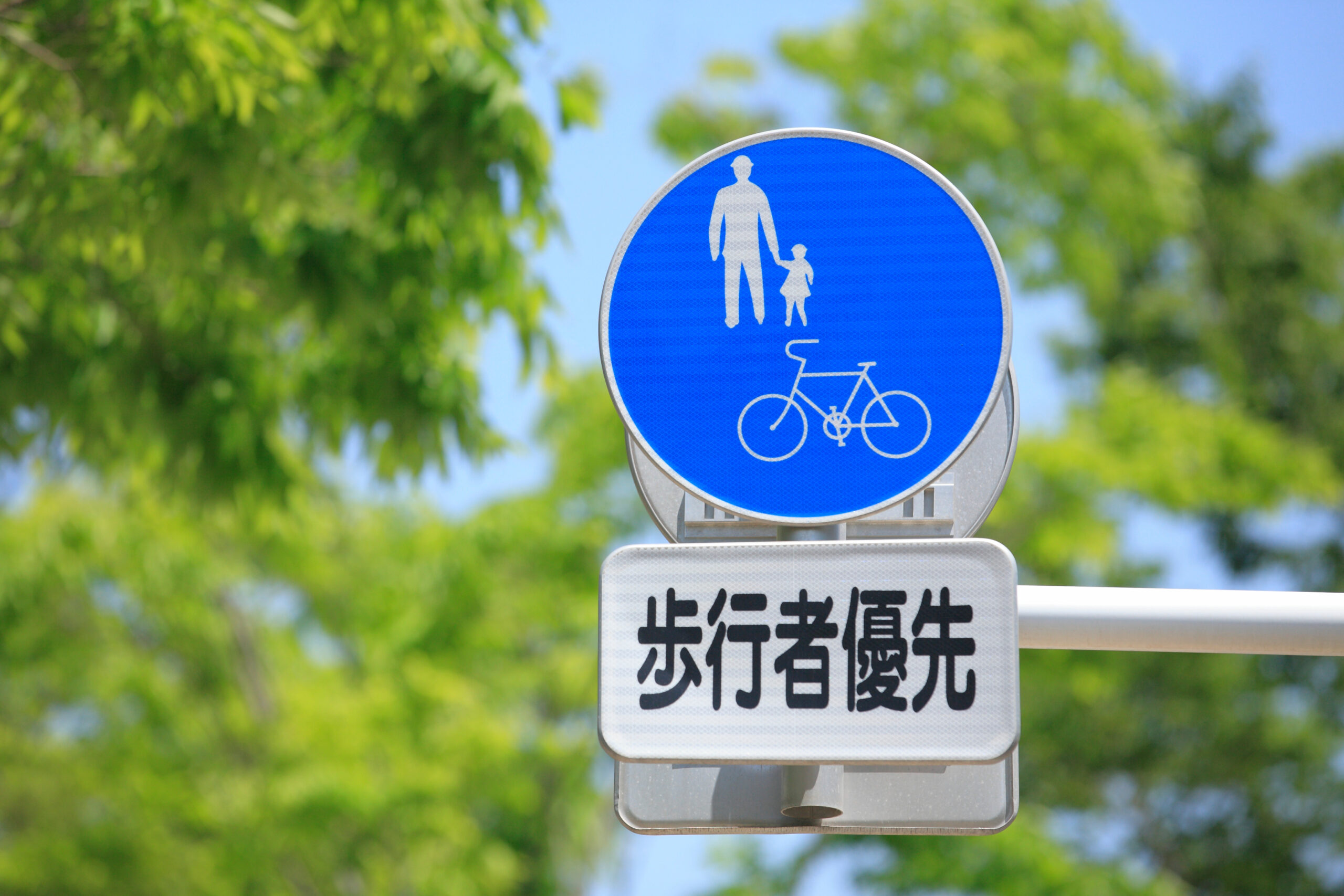 Sharing the Road with Pedestrians
