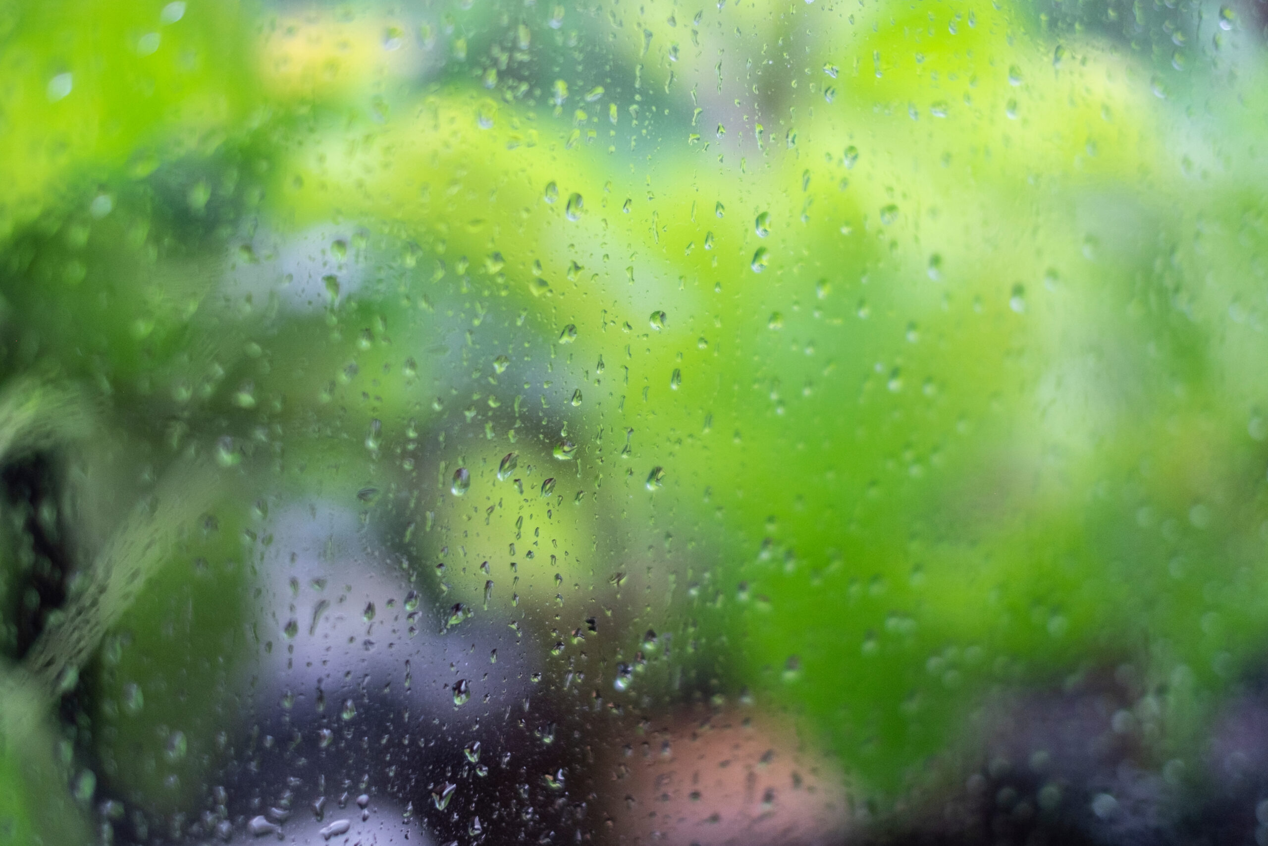 the rainy season (梅雨 - tsuyu)