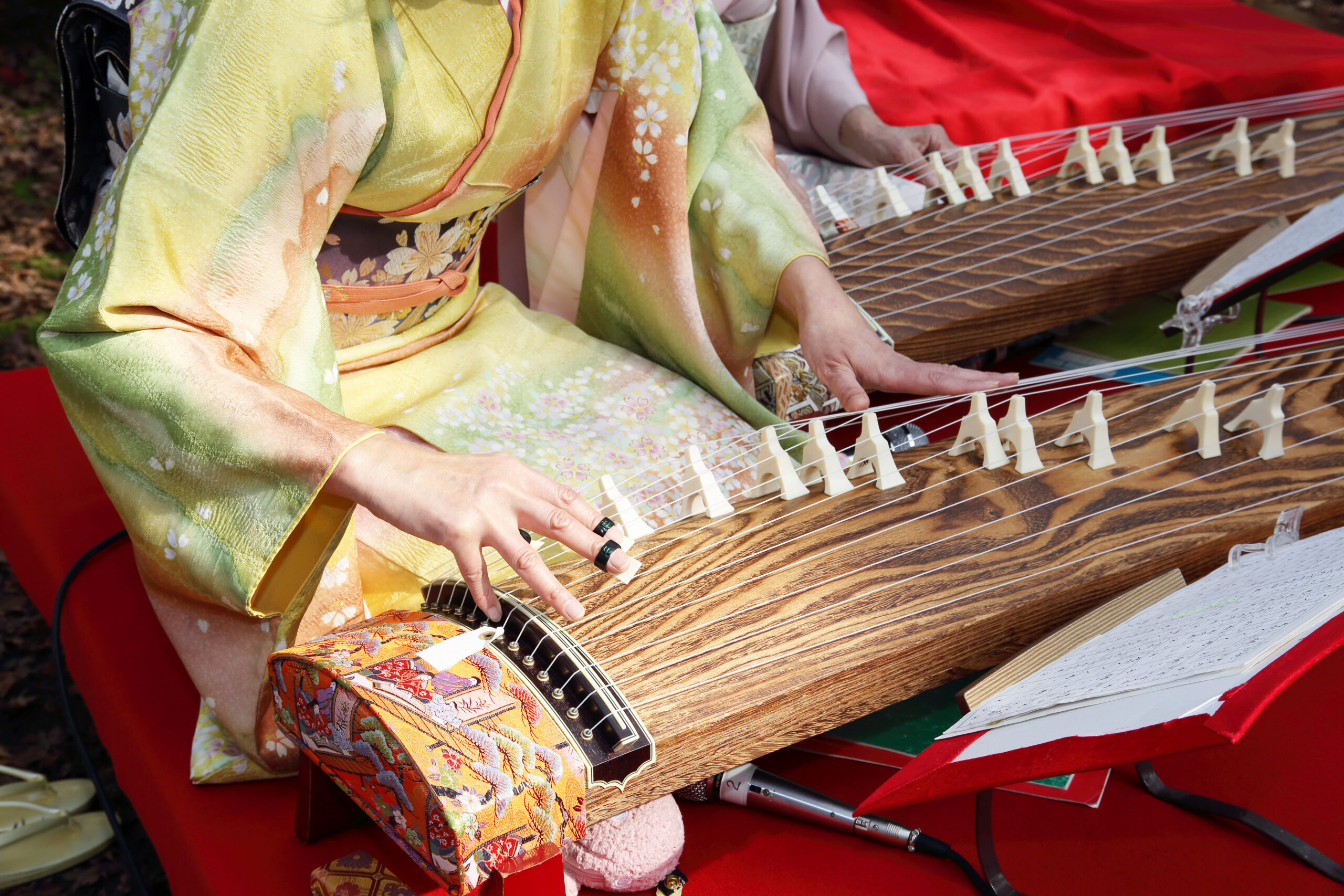 koto (箏)